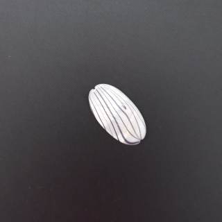 Korálek perleť 32x16 mm bílý / balení 5 ks